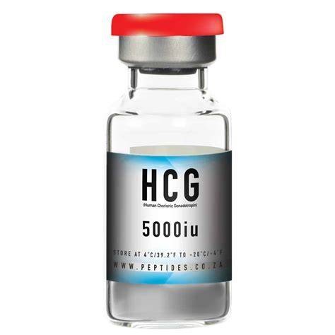 Kedy sa začína tvoriť a ako sa vyvíja ľudský choriový gonadotropín (hCG) v tele ženy